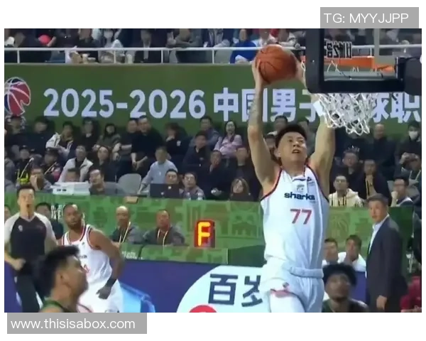 上海篮球队节奏变革引发热议球迷热议新战术与球队未来发展