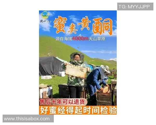 杭州攀岩队荣登全国攀岩团队协作排行榜第六名展现团队实力与默契